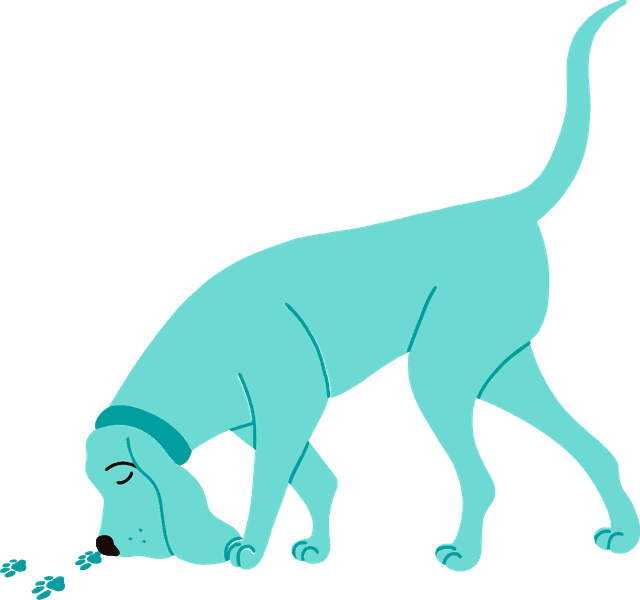 Dog tracking something on the ground