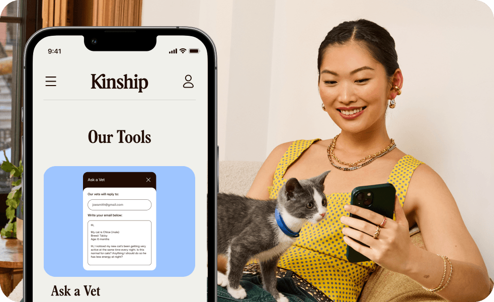 Kinship Tools