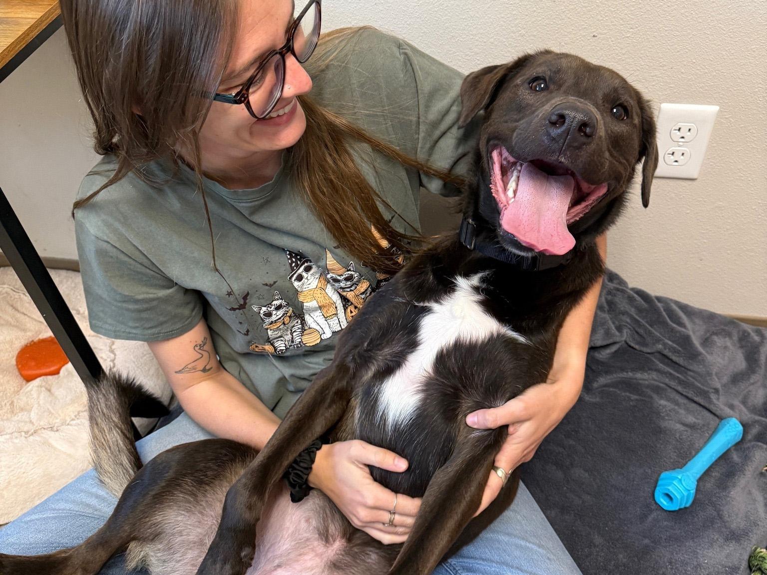 Haven Humane Society dog