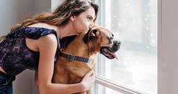 How to Get a Landlord Pet Approval Letter