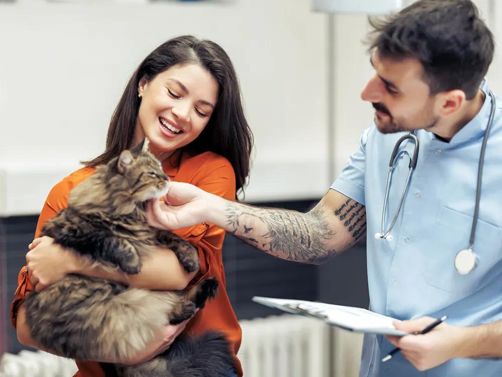 cat owner and veterinarian look at cat