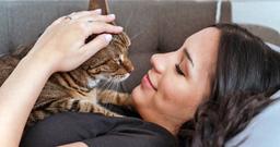 How to Tell if Your Cat Loves You
