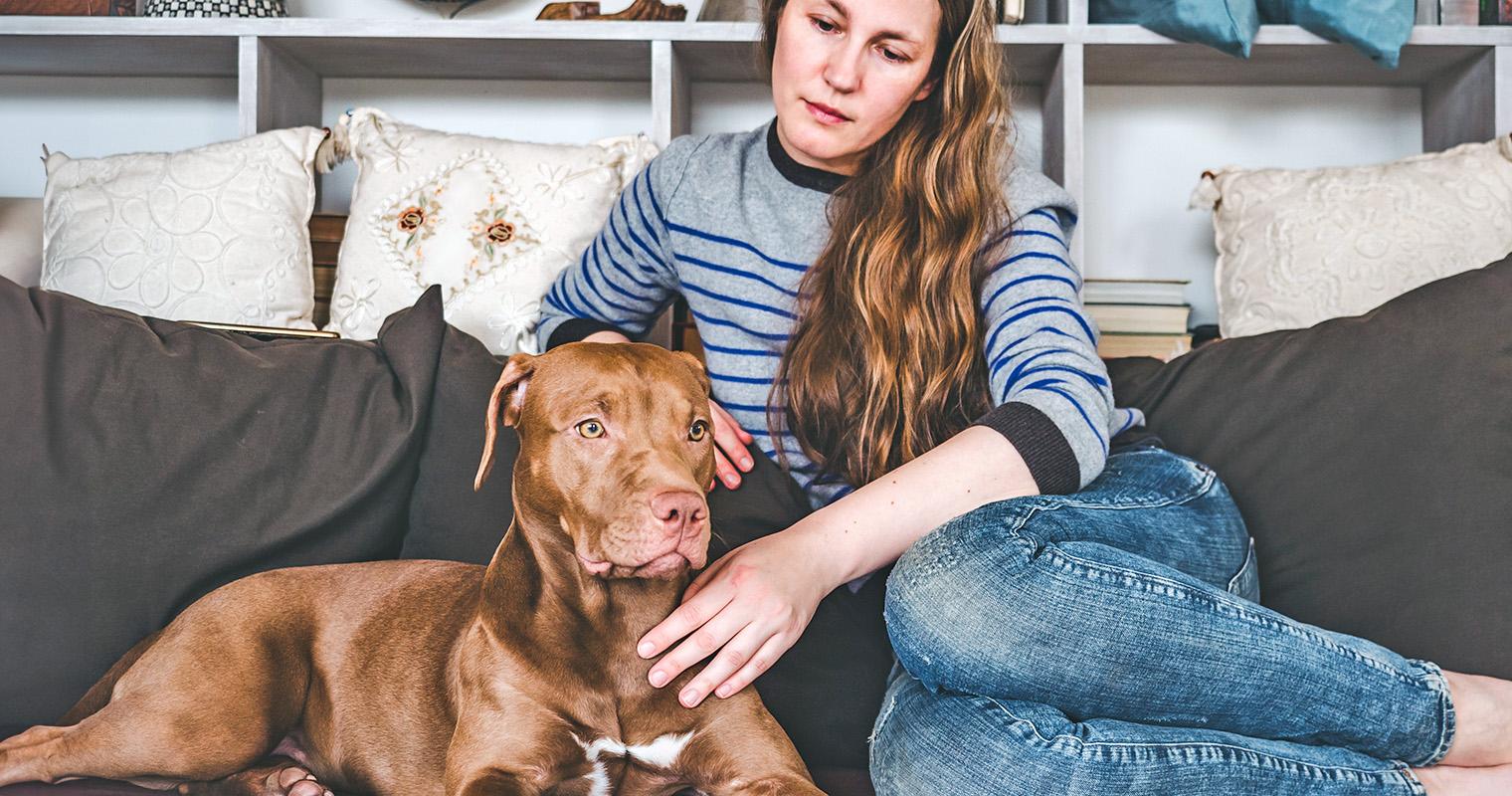 Is It Ever Okay to Return a Dog to a Shelter?