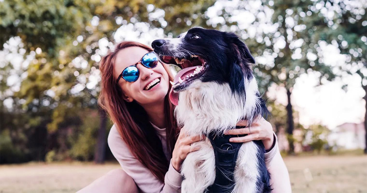 10 Signs You’re Ready For a Dog
