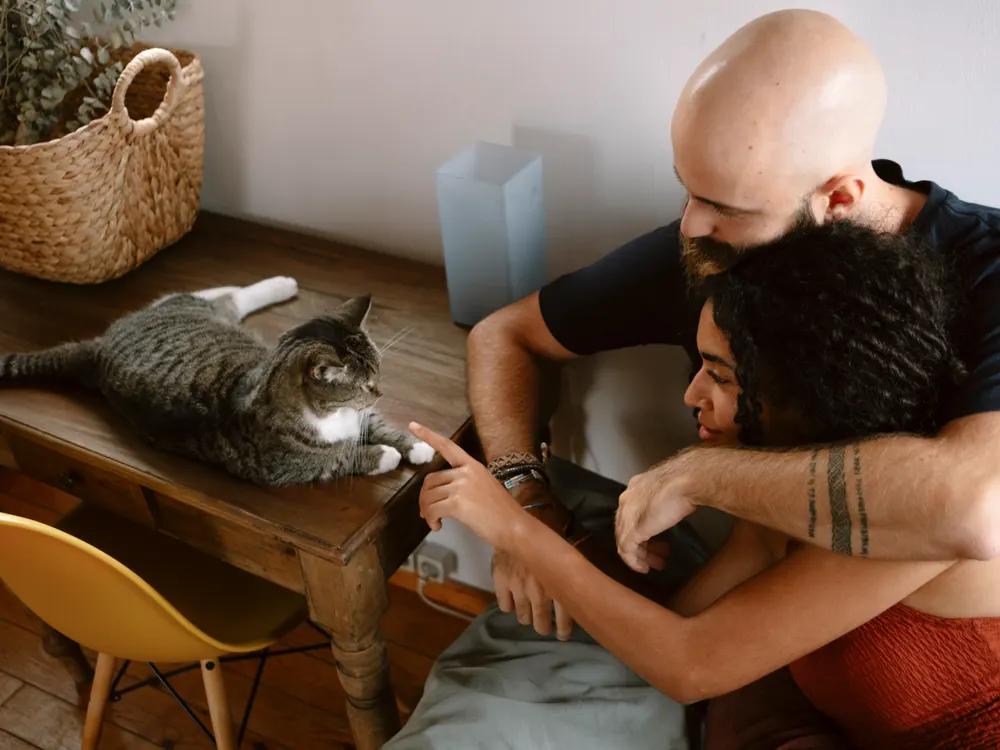 people interacting with cat for first time