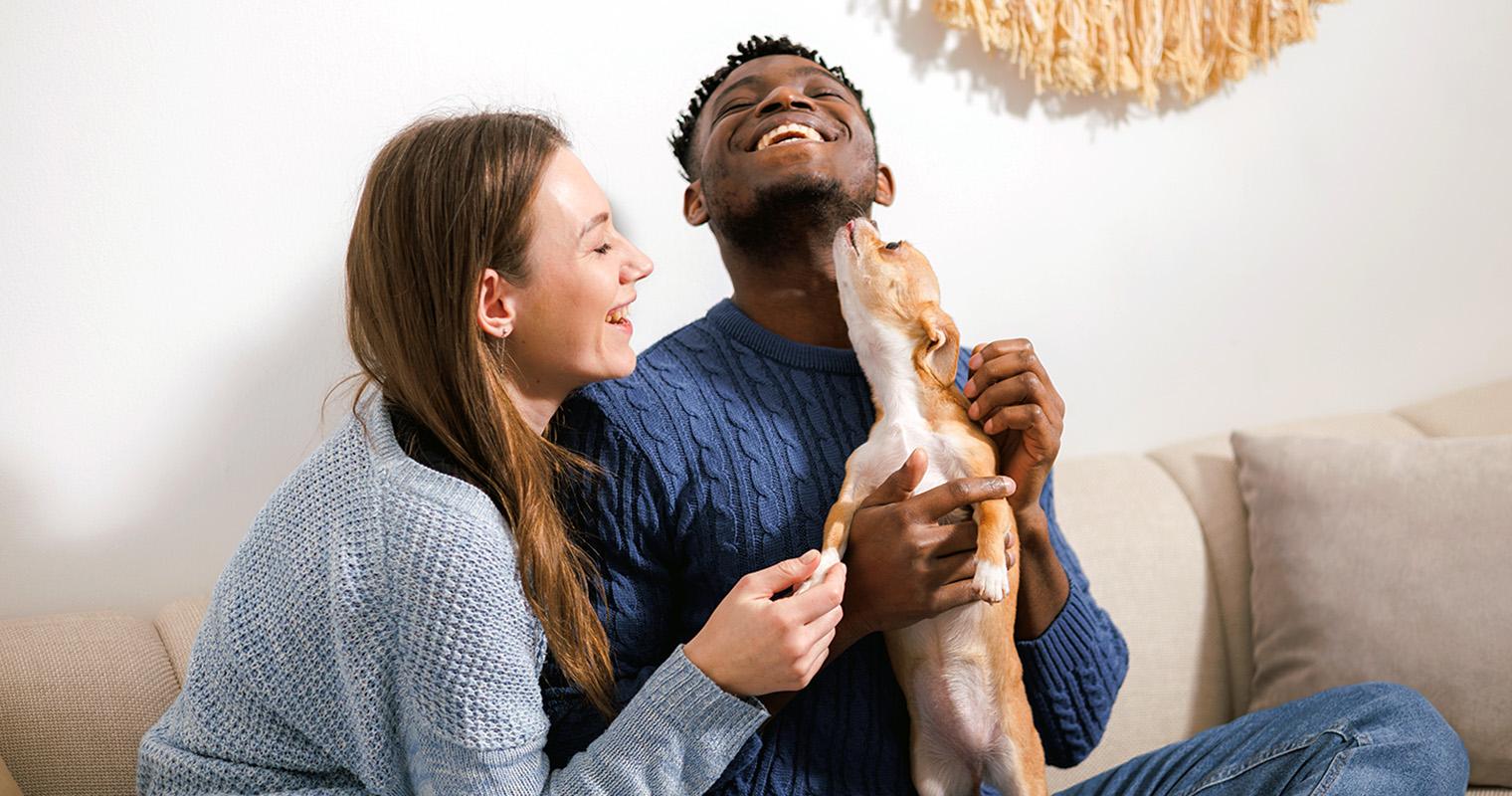 How to Pass a Pet Adoption Interview: What Shelters Look For