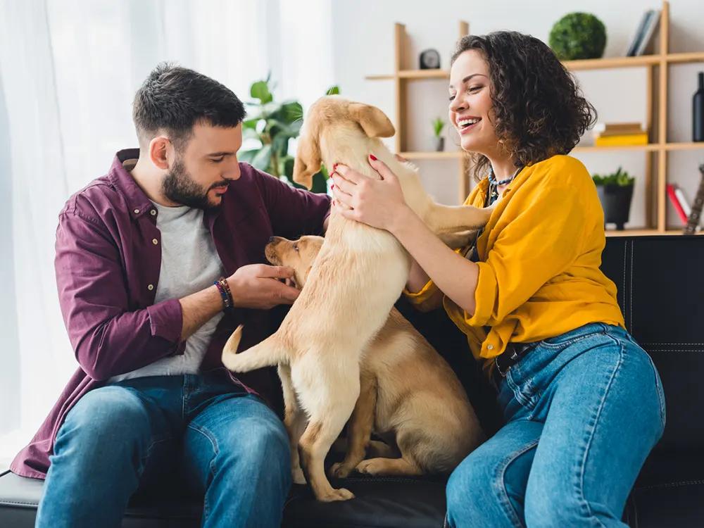 two people playing with puppies