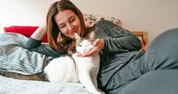 Fostering vs. Adopting: Should You Foster a Cat First?
