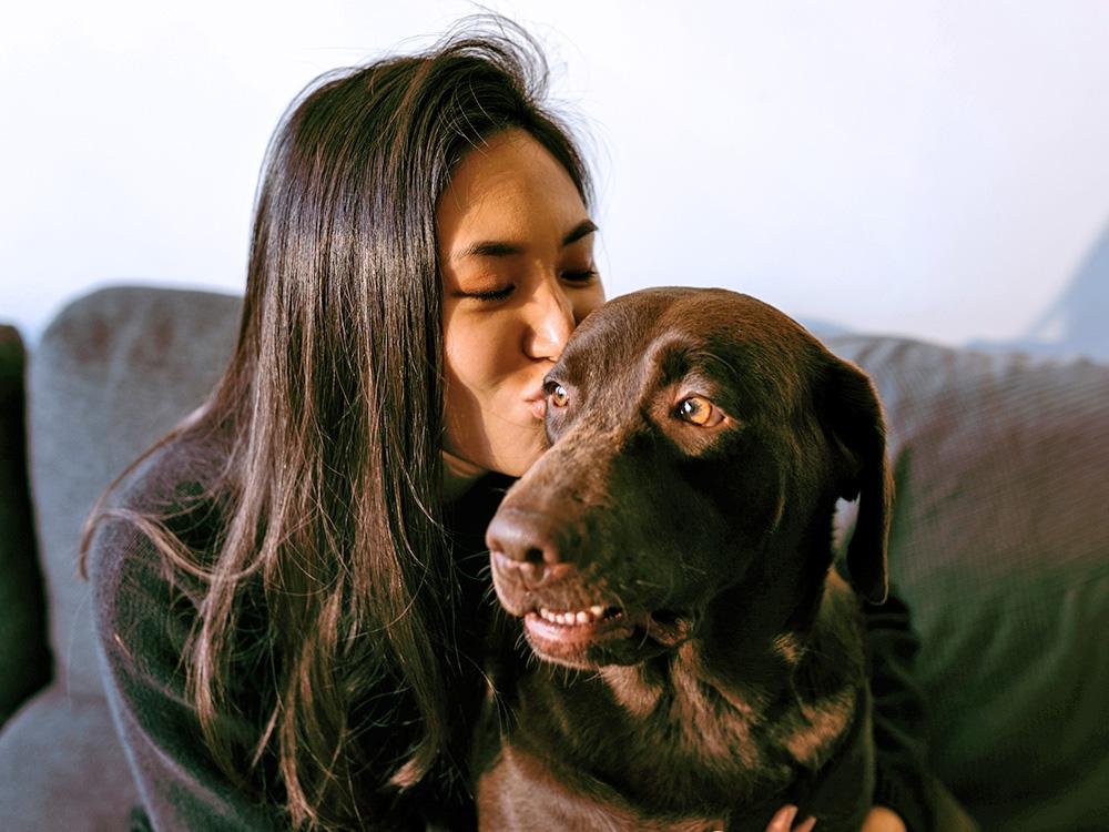 How Long Does it Take Labrador Retrievers to Get Used to a New Home?