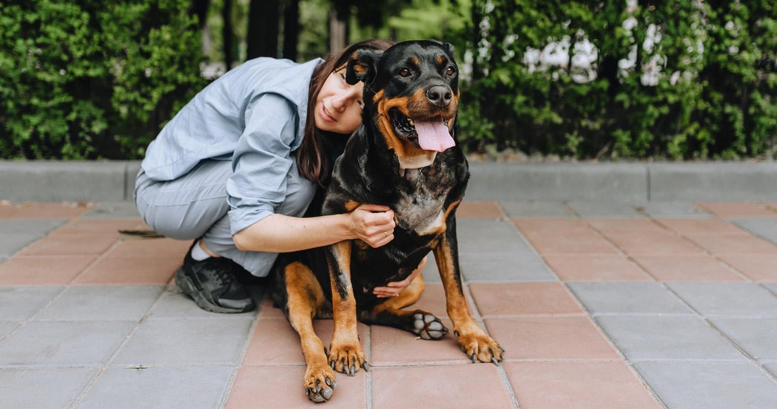 Woman hugging her Rottweiler dog outside.