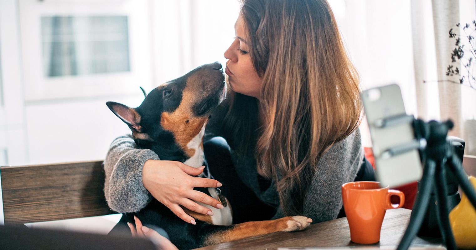 How Do I Find a Good Home for My Bull Terrier?