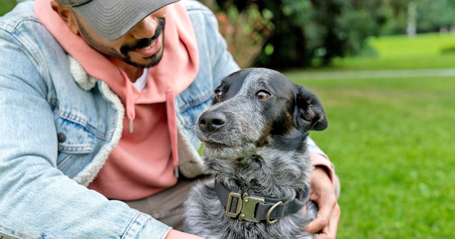 10 Red Flags Every Pet Parent Should Know Before Adopting a Dog
