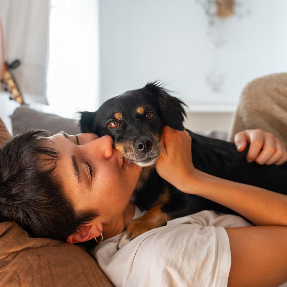 The Most Popular Dog Breeds of 2025