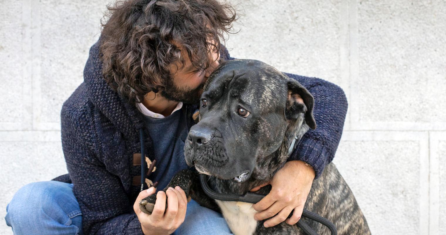 35 Questions You Should Ask Before Fostering a Dog