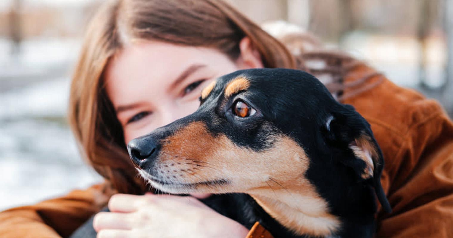 Why Does My Dog Seem Scared of Me All of a Sudden?