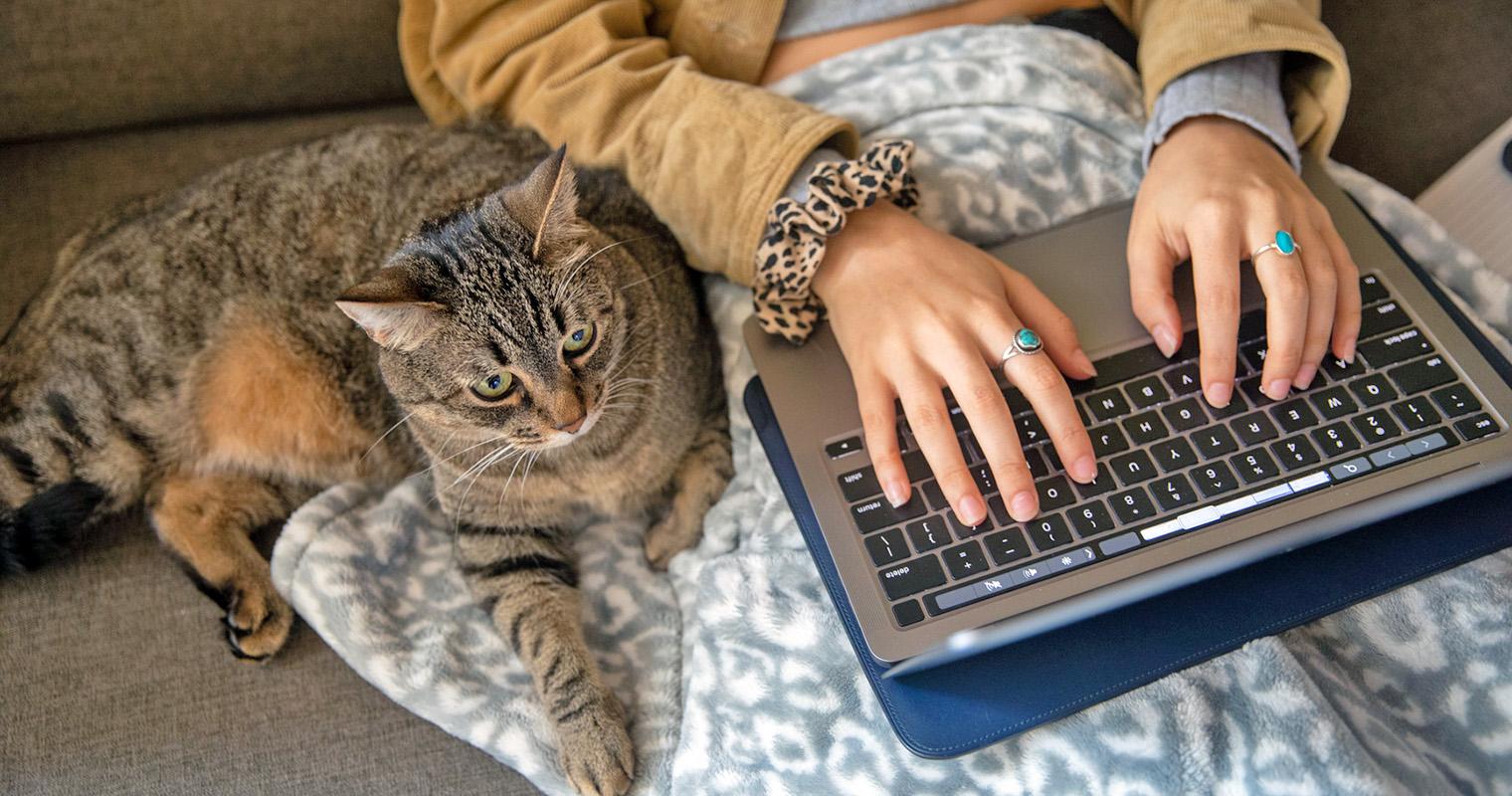 Understanding Pet Health Records